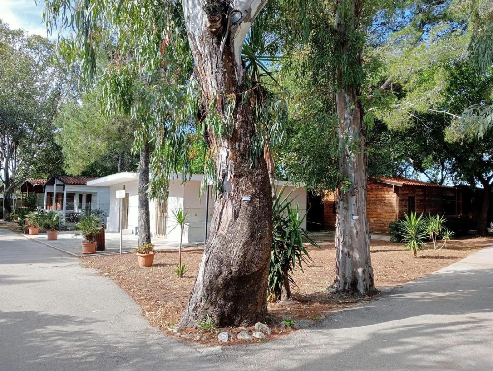 Viola Club Village & Camping Foce Varano Exterior foto