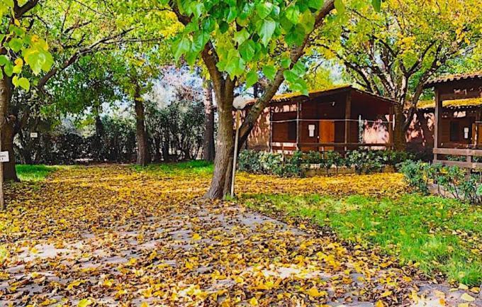 Viola Club Village & Camping Foce Varano Exterior foto