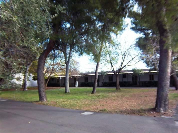 Viola Club Village & Camping Foce Varano Exterior foto